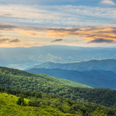 sunrise adlı bir dağ yamacında iğne yapraklı orman