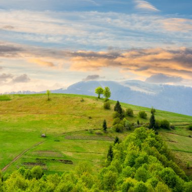 sunrise adlı dağ orman ile hillside çayır Köyü