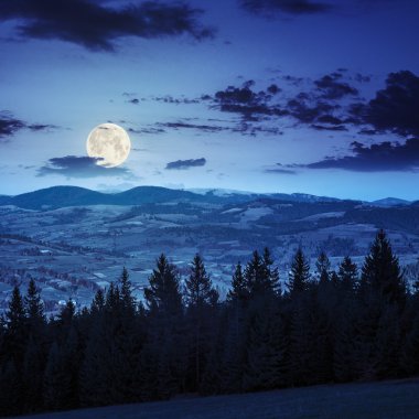 çam ağaçlarının yamaca geceleri dağlarda valley yakınındaki