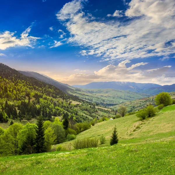 Aldeia no prado de encosta com floresta em montanha — Fotografia de Stock