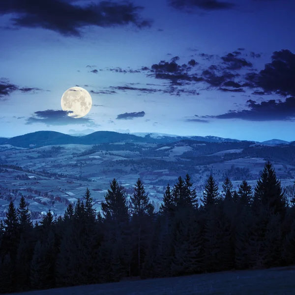 Pine trees near valley in mountains  on hillside at night — Stock Photo, Image