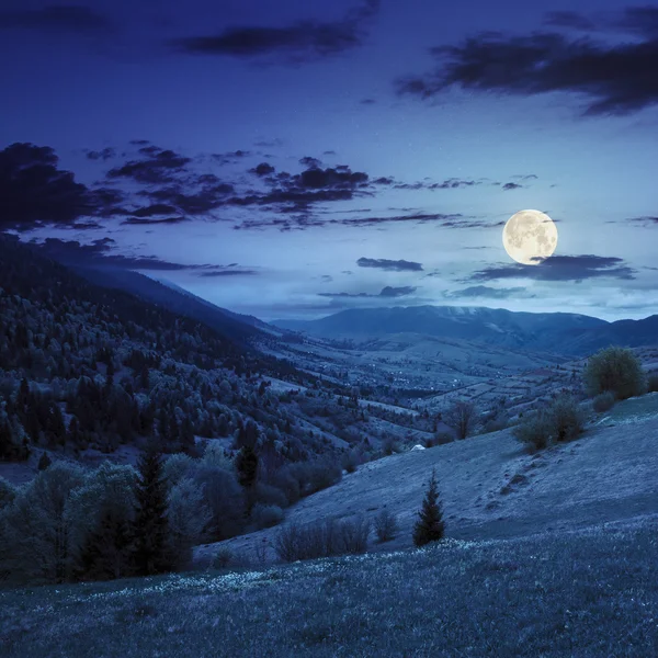 Village sur prairie à flanc de colline avec forêt en montagne la nuit — Photo