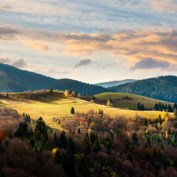 松の木が付いている空の下で丘の中腹に山の谷の近く — ストック写真
