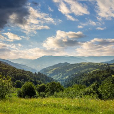 çam ağaçları ile gökyüzü altında yamaca dağlarda valley yakınındaki 