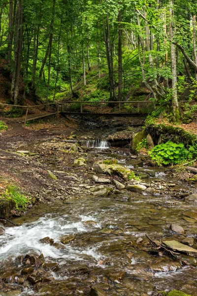 Waldfluss mit Steinen — Stockfoto