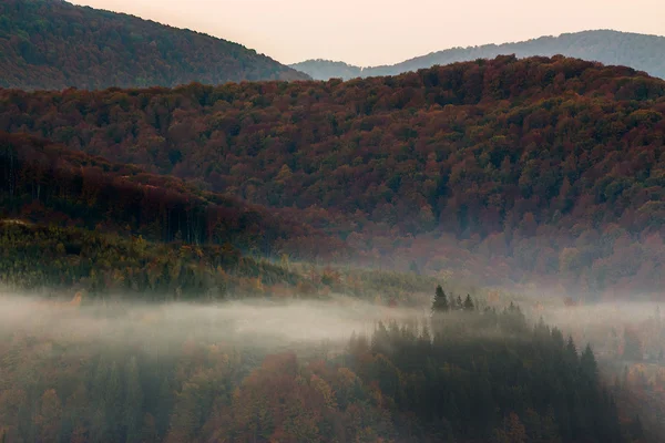 Studená mlha na horké svítání v horách — Stock fotografie