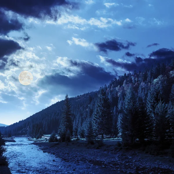 Лісова річка в осінніх горах вночі — стокове фото