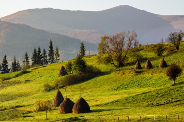 evinizin yakınında sonbahar alanları