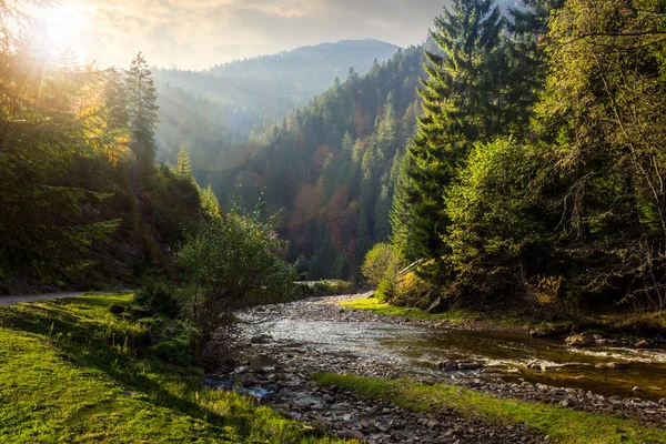 Waldfluss in den Bergen — Stockfoto