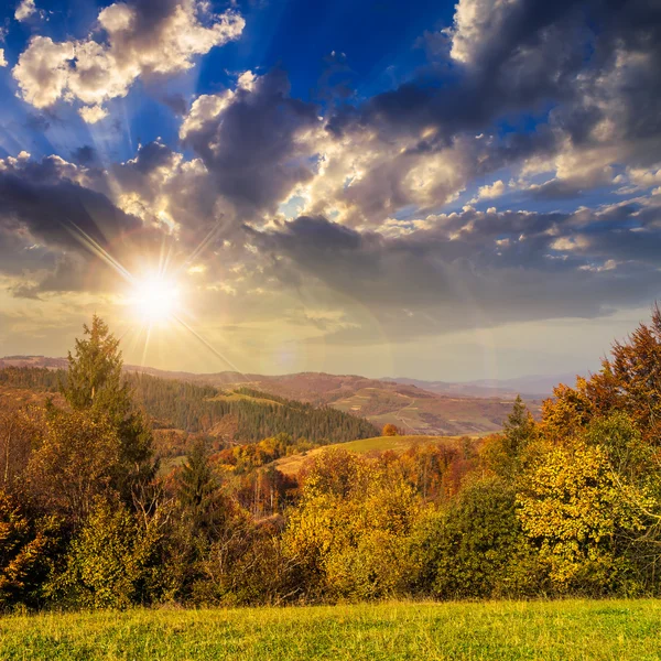 Arbres sur prairie d'automne dans les montagnes — Photo