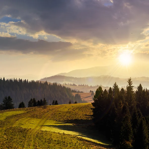 Forest over mistige vallei in de herfst bergen bij zonsondergang — Stockfoto