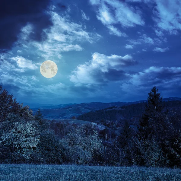 Árboles en el prado de otoño en las montañas por la noche —  Fotos de Stock