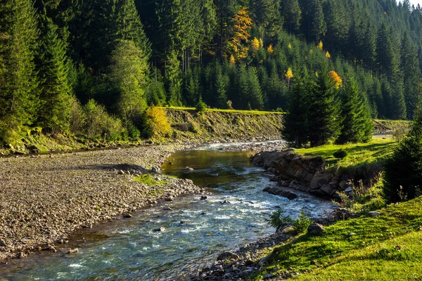 Waldfluss mit Steinen — Stockfoto