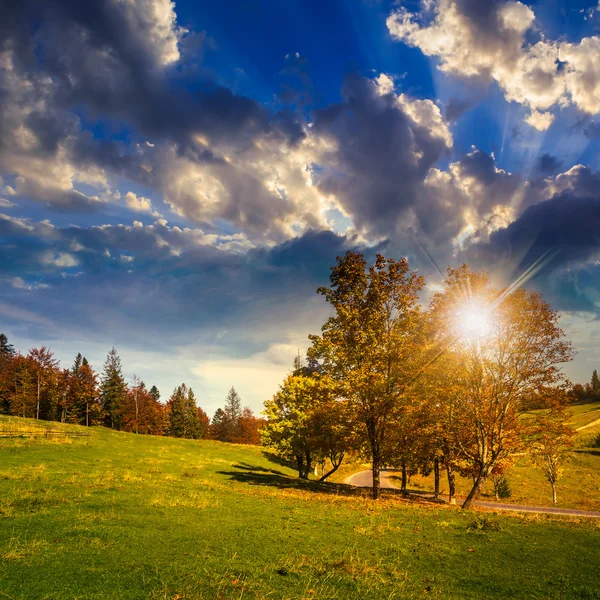 Road near autumn forest on hill at sunset — Stock Photo, Image