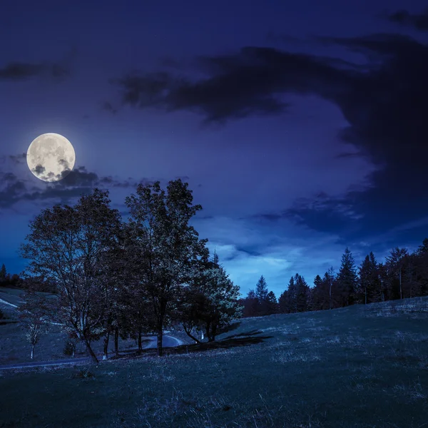 Cesta podzimního lesa na kopci v noci — Stock fotografie