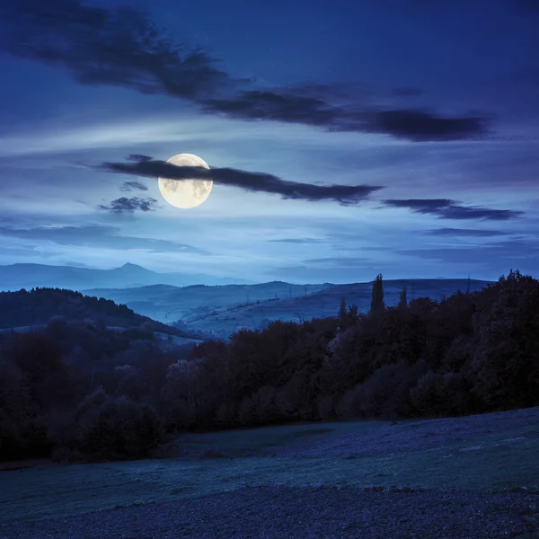 Villaggio sulla collina dietro la foresta in montagna di notte — Foto Stock