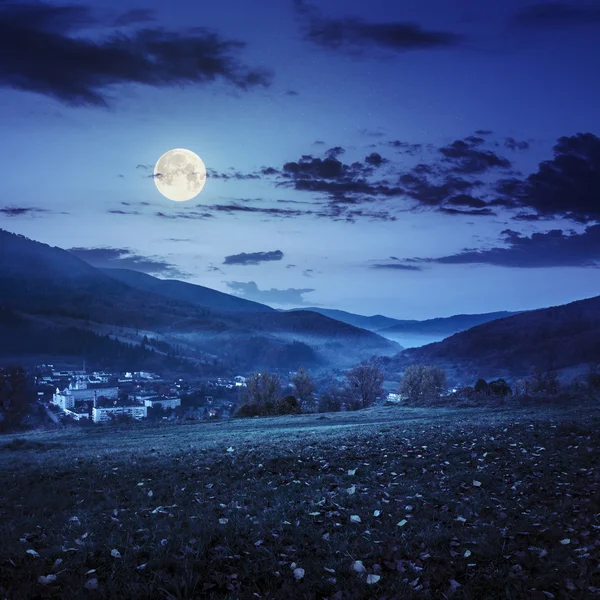 Village on hillside meadow with forest in mountain at night — Stock Photo, Image