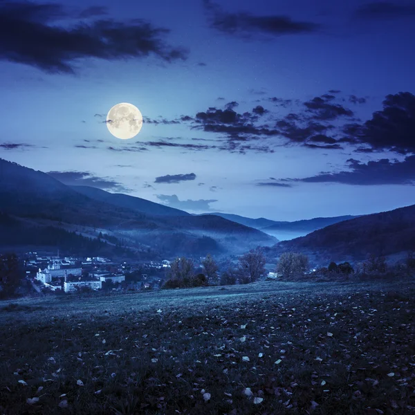 Pueblo en la ladera prado con bosque en la montaña por la noche — Foto de Stock