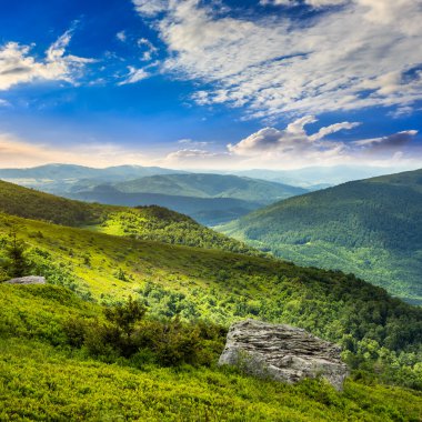 ışık orman ile taş dağ yamacında