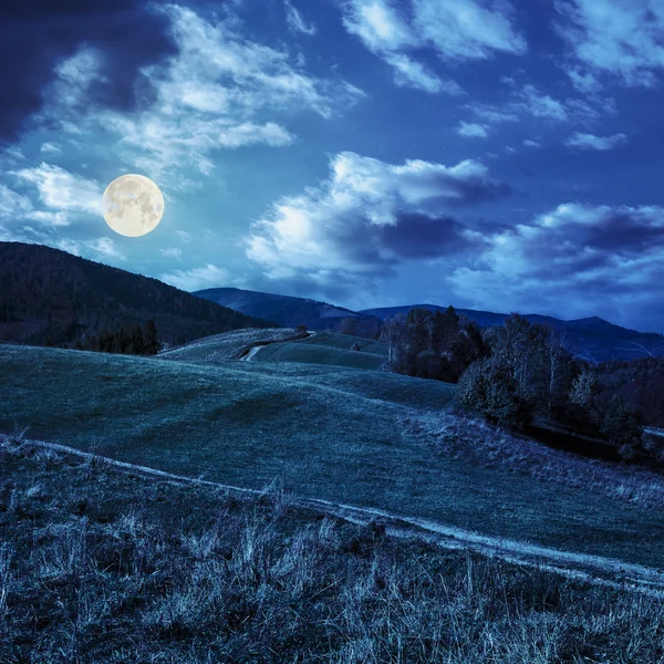 Árvores no prado de outono em montanhas à noite — Fotografia de Stock