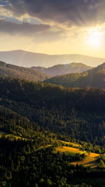 Günbatımında bir tepede köknar orman