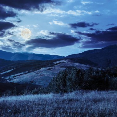 dağ Vadisi gece ağaçlarda