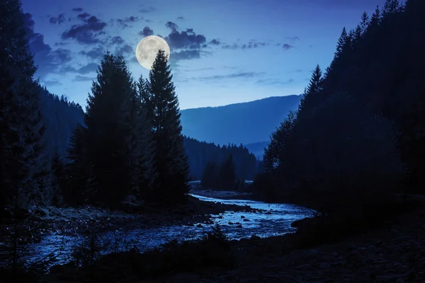 Río bosque con piedras y musgo por la noche — Foto de Stock