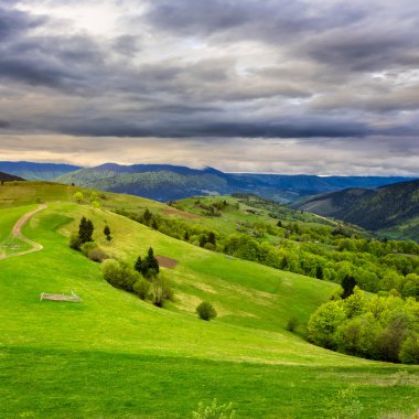hillside çayır çit