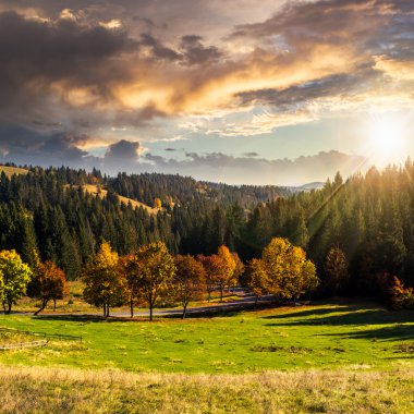 gün batımında sonbahar orman arkasında yol