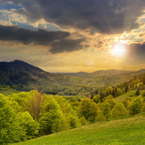 Slope of mountain range with coniferous forest and village at sunset