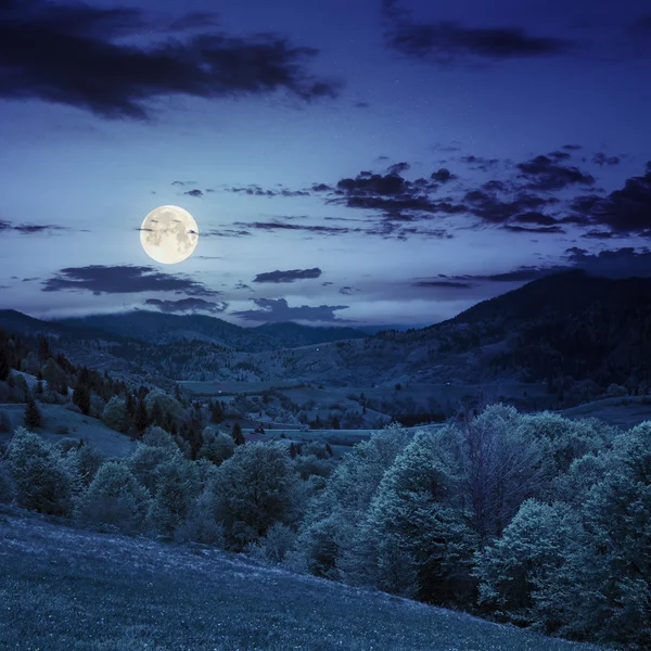 夜の山の斜面の森 — ストック写真