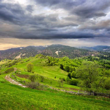 hillside dağ çayır çit