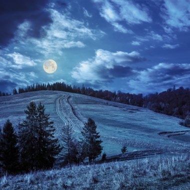 sonbahar çayır geceleri dağlarda ağaçlarda