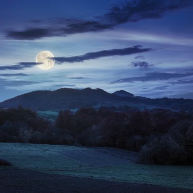 ağaçların geceleri dağlarda valley yakınındaki