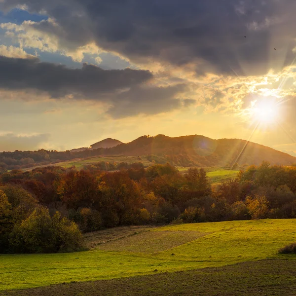 Árvores perto do vale nas montanhas ao pôr do sol — Fotografia de Stock