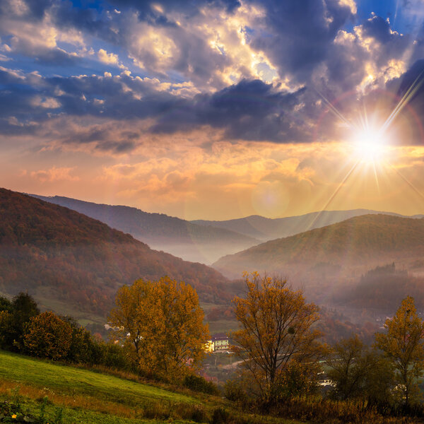 village on hillside meadow with forest in mountain at sunset