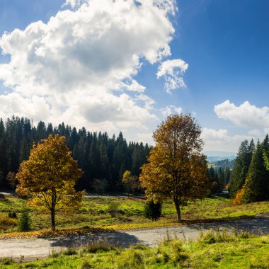 yakınlarındaki tepe üzerinde sonbahar orman yolu