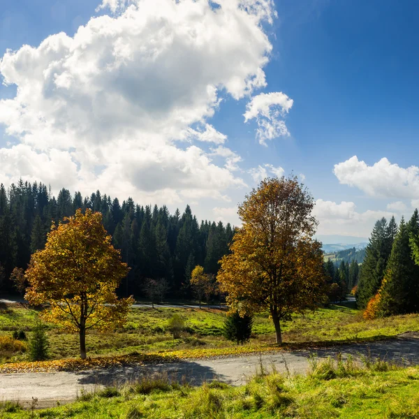 yakınlarındaki tepe üzerinde sonbahar orman yolu