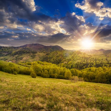 gün batımında yamaca dağlarda valley yakınındaki ağaçlar