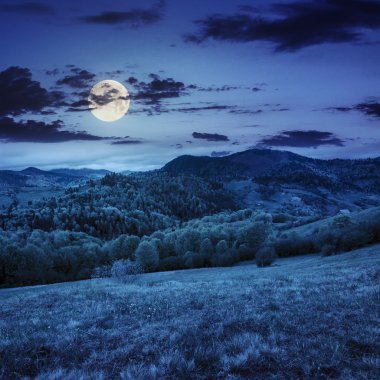 dağlarda gece yamaca valley yakınındaki ağaçlar