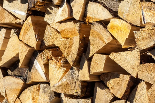 Güneş ışığı altında kuru kozalaklı yakacak odun — Stok fotoğraf