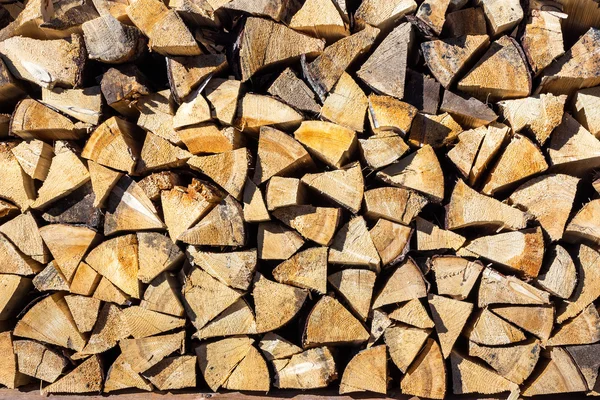 Güneş ışığı altında kuru kozalaklı yakacak odun — Stok fotoğraf