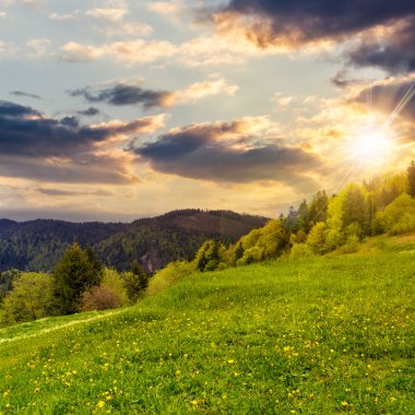 gün batımında dağlarda valley yakınındaki ağaçlar