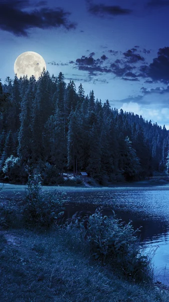 Bosque de pinos y lago cerca de la montaña temprano en la mañana —  Fotos de Stock