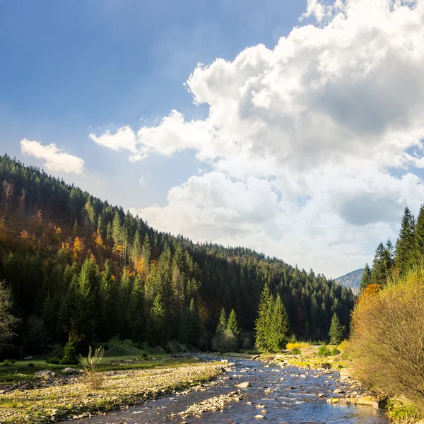 Лесная река в горах с камнями — стоковое фото