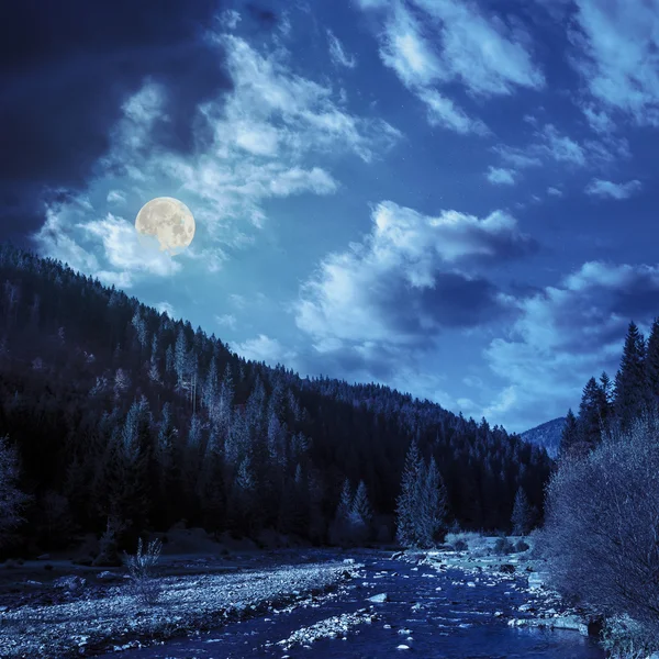 用石头在晚上山区森林河 — 图库照片