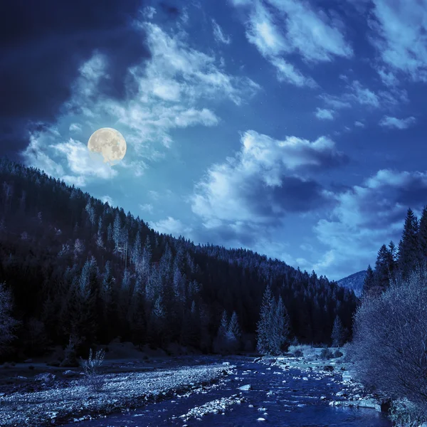 Fiume foresta in montagna con pietre di notte — Foto Stock