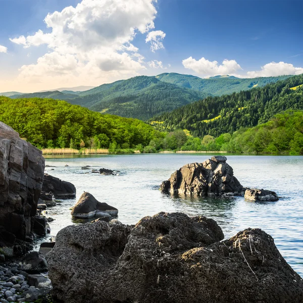Orilla del lago con piedras cerca del bosque en la montaña — Foto de Stock