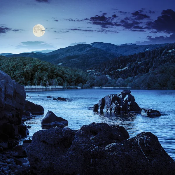 Bord du lac avec des pierres près de la forêt sur la montagne la nuit — Photo