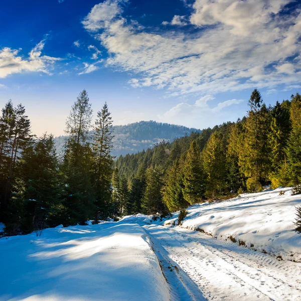 Snöig väg till barrskog i bergen — Stockfoto